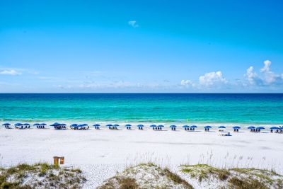Image for Summer Lasts Forever!